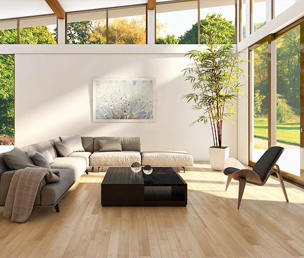Beautiful bright living space with modern furniture