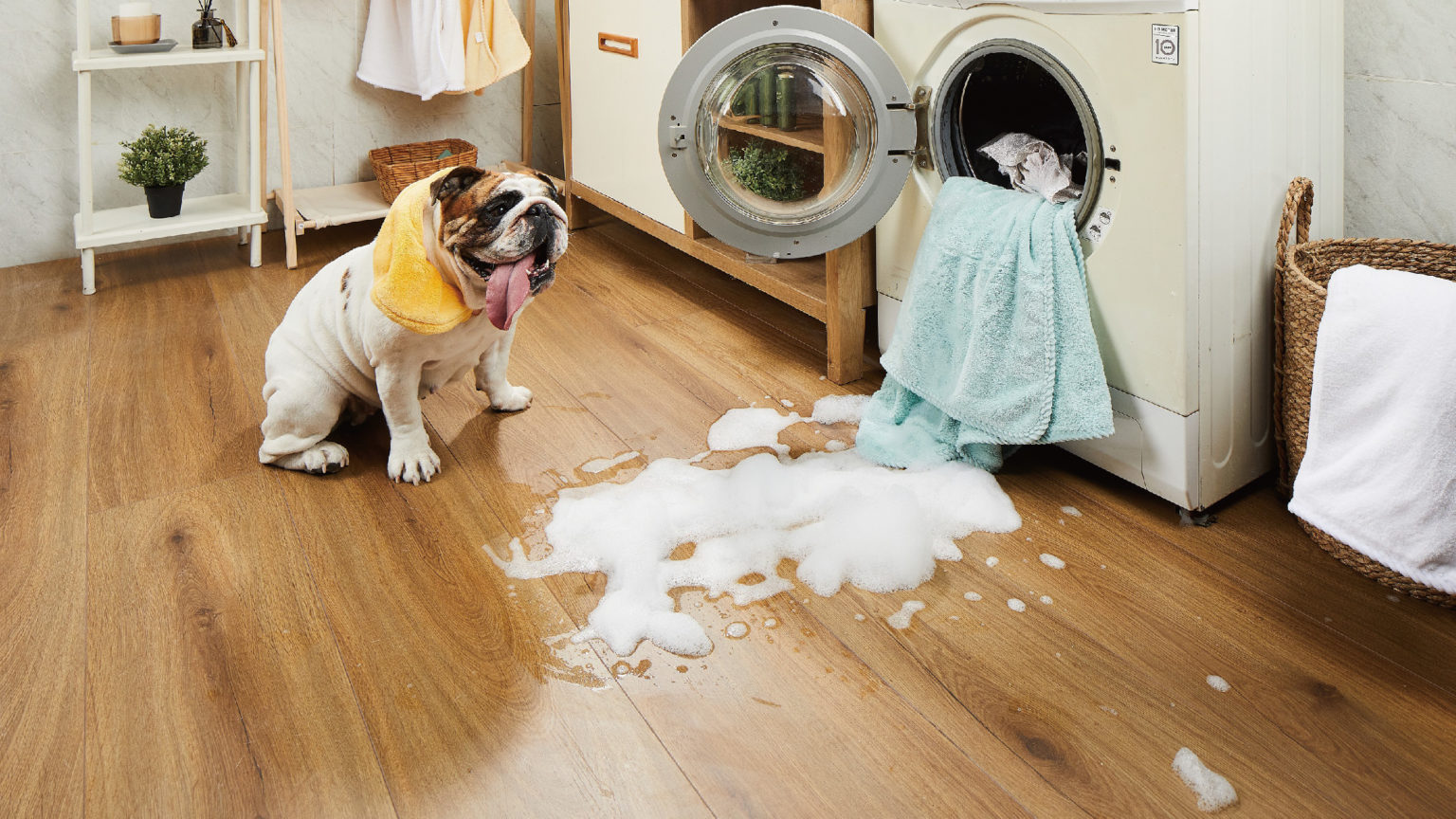 CFL Creative Flooring Solutions Floor Covering News