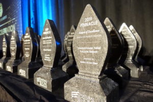 Natural Stone Institute Awards
