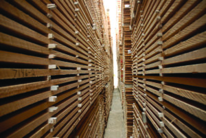 hardwood
