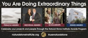NSI awards program