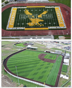 turf