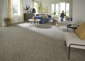 carpet