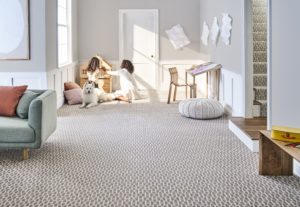 carpet innovation