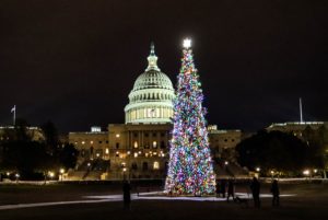 capital christmas tree